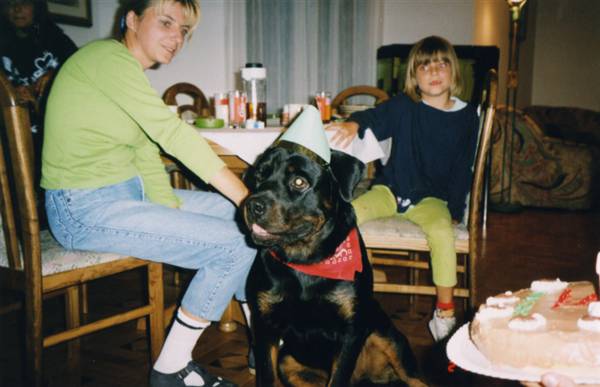 rottweilers and children vom steintor rott rottweilers and uzgajivačnica rottweilers and children vom steintor rott rottweilers and uzgajivačnica