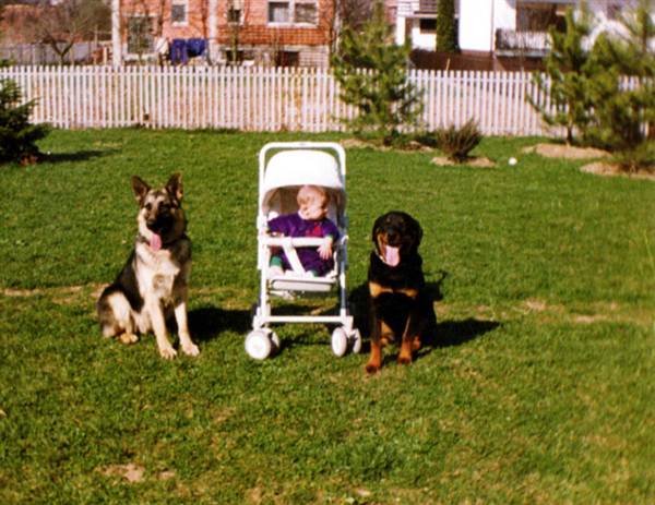 rottweilers and children rottweiler photos pictures rottweilers page 7 breeds rottweilers and children rottweiler photos pictures rottweilers page 7 breeds